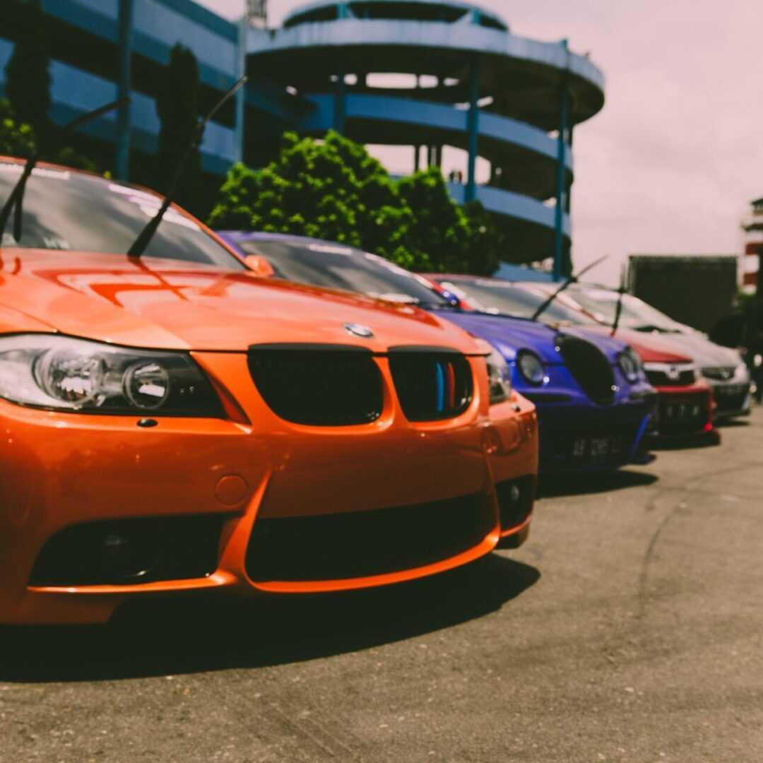 pexels-rangga-aditya-armien-235222 pexels-rangga-aditya-armien-235222